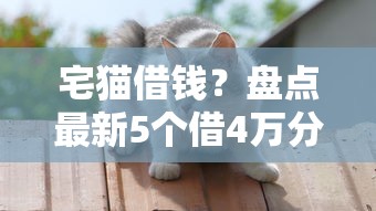 宅猫借钱？盘点最新5个借4万分48期平台