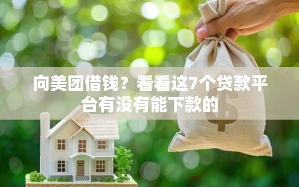 向美团借钱？看看这7个贷款平台有没有能下款的