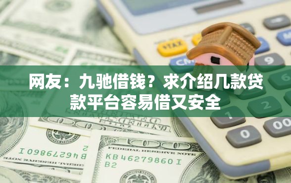 网友：九驰借钱？求介绍几款贷款平台容易借又安全