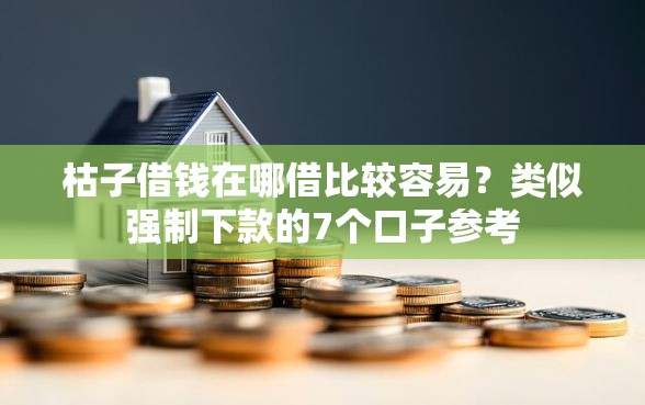 枯子借钱在哪借比较容易？类似强制下款的7个口子参考