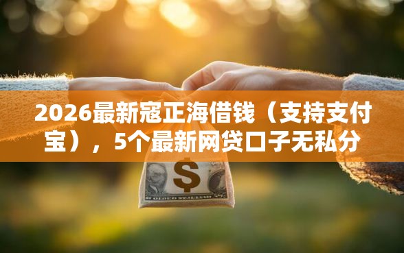 2026最新寇正海借钱（支持支付宝），5个最新网贷口子无私分享