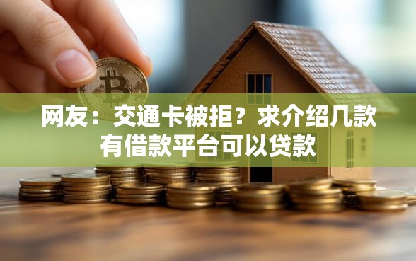 网友：交通卡被拒？求介绍几款有借款平台可以贷款