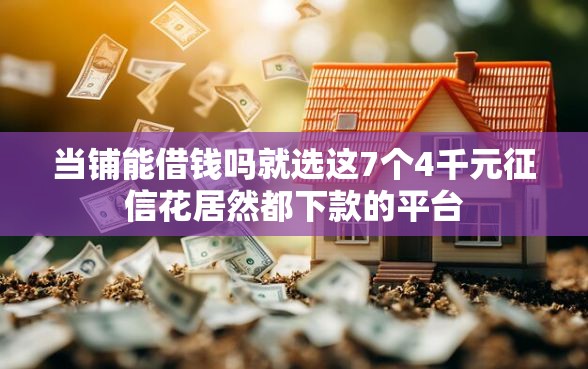 当铺能借钱吗就选这7个4千元征信花居然都下款的平台