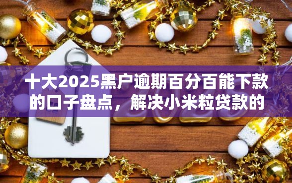 十大2025黑户逾期百分百能下款的口子盘点，解决小米粒贷款的问题