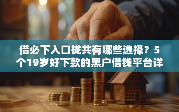 借必下入口拢共有哪些选择？5个19岁好下款的黑户借钱平台详解