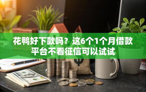 花鸭好下款吗？这6个1个月借款平台不看征信可以试试