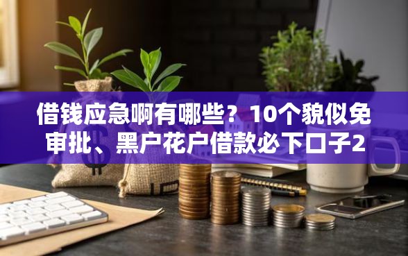 借钱应急啊有哪些？10个貌似免审批、黑户花户借款必下口子2025合集