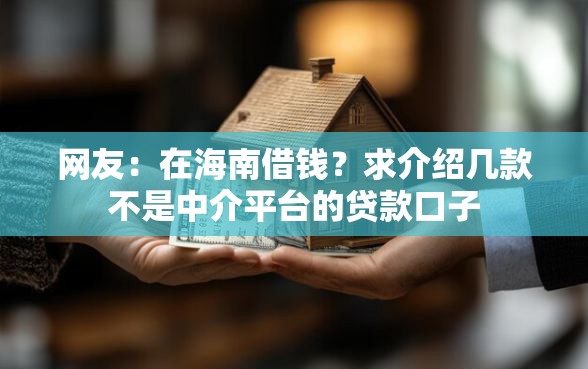 网友：在海南借钱？求介绍几款不是中介平台的贷款口子