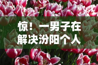 惊！一男子在解决汾阳个人借钱时竟然发现5个2025花户借钱的平台100%能借到，事后分享了出来