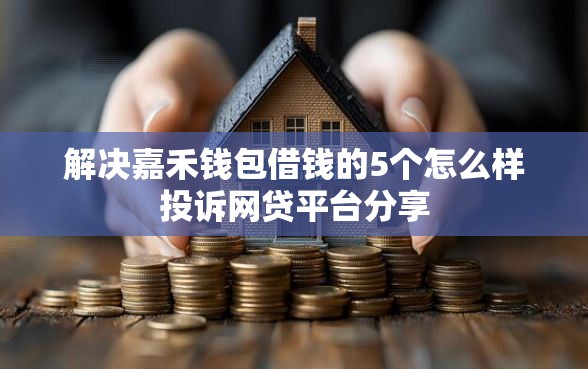 解决嘉禾钱包借钱的5个怎么样投诉网贷平台分享
