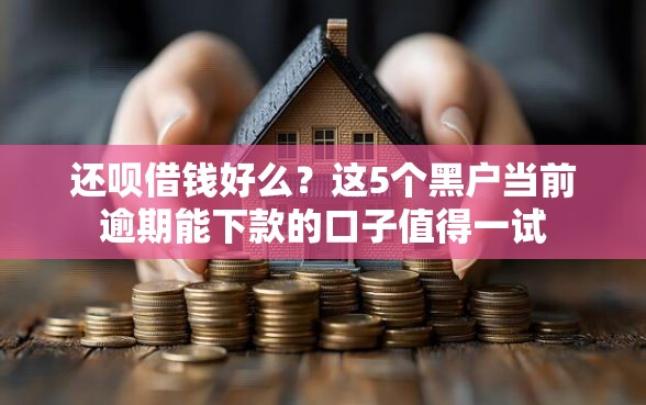 还呗借钱好么？这5个黑户当前逾期能下款的口子值得一试