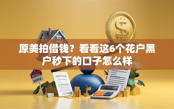 原美拍借钱？看看这6个花户黑户秒下的口子怎么样