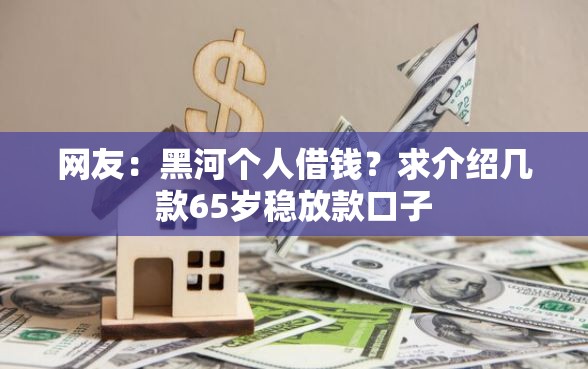 网友：黑河个人借钱？求介绍几款65岁稳放款口子