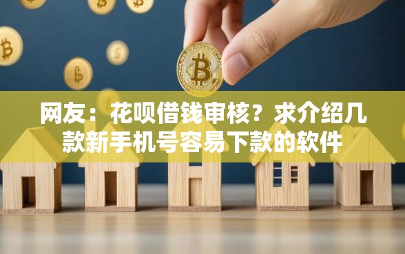 网友：花呗借钱审核？求介绍几款新手机号容易下款的软件