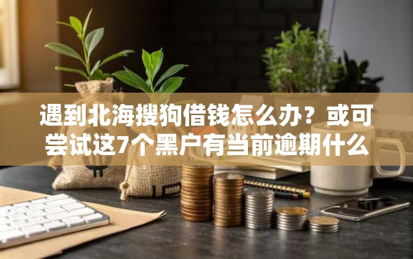 遇到北海搜狗借钱怎么办？或可尝试这7个黑户有当前逾期什么软件能做贷款