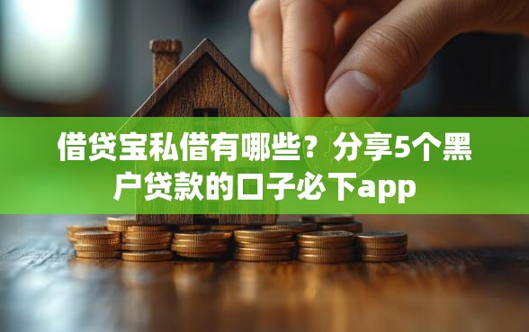 借贷宝私借有哪些？分享5个黑户贷款的口子必下app