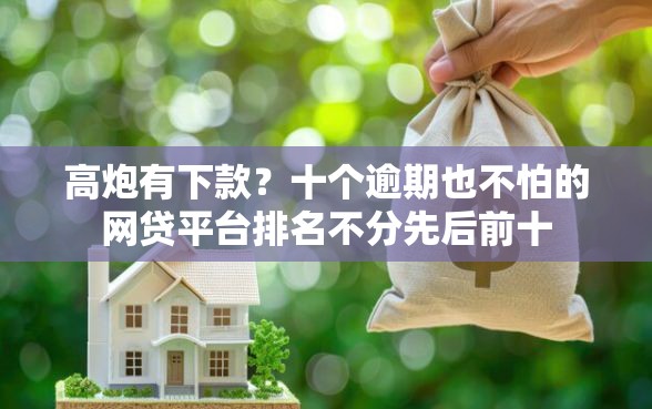 高炮有下款？十个逾期也不怕的网贷平台排名不分先后前十