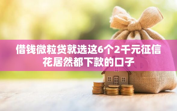 借钱微粒贷就选这6个2千元征信花居然都下款的口子