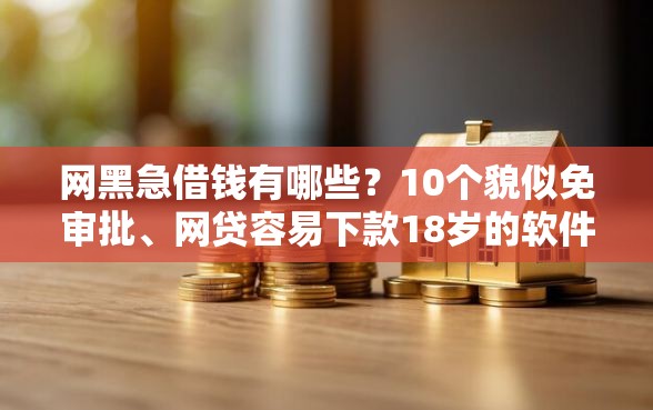 网黑急借钱有哪些？10个貌似免审批、网贷容易下款18岁的软件合集