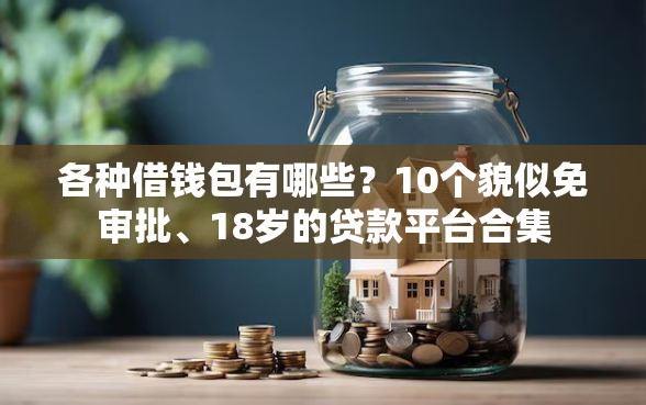 各种借钱包有哪些？10个貌似免审批、18岁的贷款平台合集