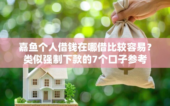 嘉鱼个人借钱在哪借比较容易？类似强制下款的7个口子参考