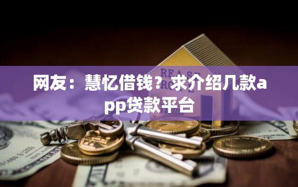 网友：慧忆借钱？求介绍几款app贷款平台