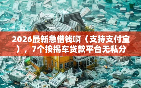 2026最新急借钱啊（支持支付宝），7个按揭车贷款平台无私分享