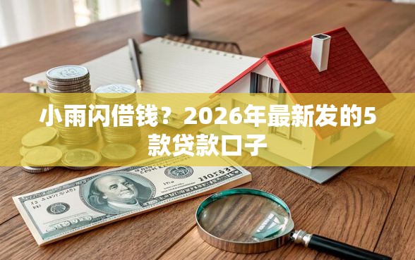 小雨闪借钱？2026年最新发的5款贷款口子
