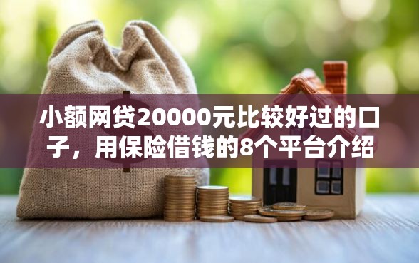 小额网贷20000元比较好过的口子，用保险借钱的8个平台介绍