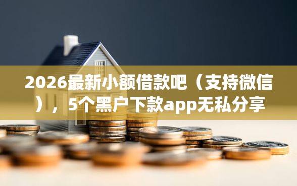2026最新小额借款吧（支持微信），5个黑户下款app无私分享