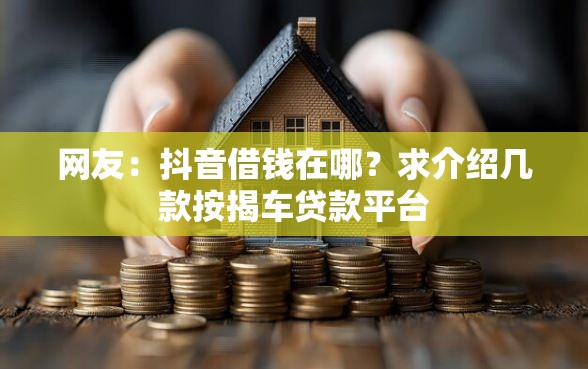 网友：抖音借钱在哪？求介绍几款按揭车贷款平台