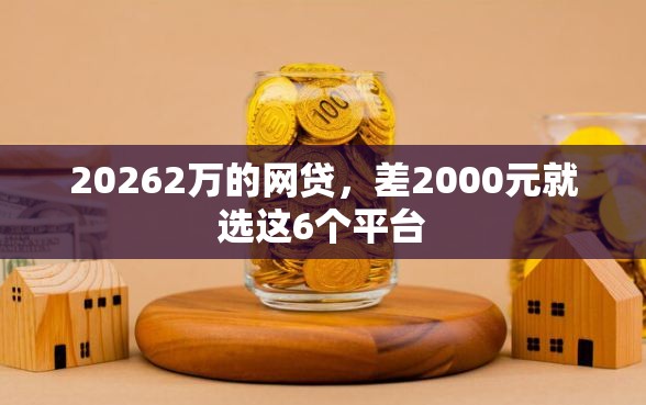 20262万的网贷，差2000元就选这6个平台