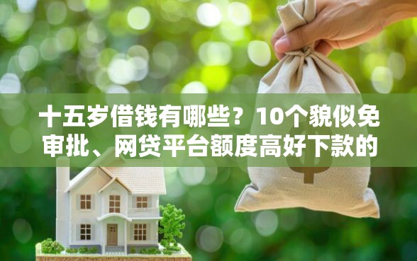 十五岁借钱有哪些？10个貌似免审批、网贷平台额度高好下款的合集