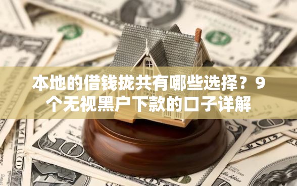 本地的借钱拢共有哪些选择？9个无视黑户下款的口子详解