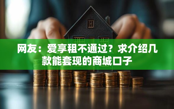 网友：爱享租不通过？求介绍几款能套现的商城口子