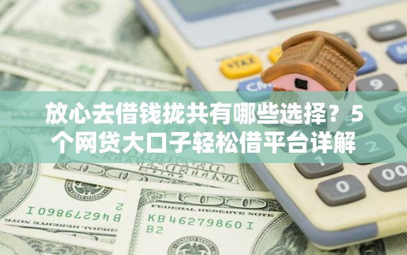放心去借钱拢共有哪些选择？5个网贷大口子轻松借平台详解