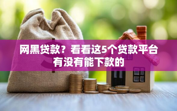 网黑贷款？看看这5个贷款平台有没有能下款的