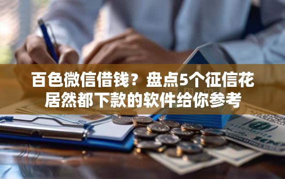 百色微信借钱？盘点5个征信花居然都下款的软件给你参考