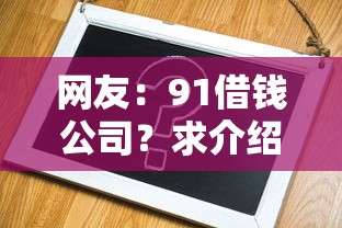 网友：91借钱公司？求介绍几款借钱容易的平台