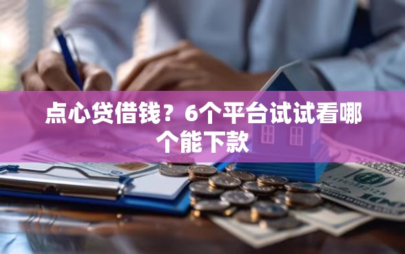 点心贷借钱？6个平台试试看哪个能下款