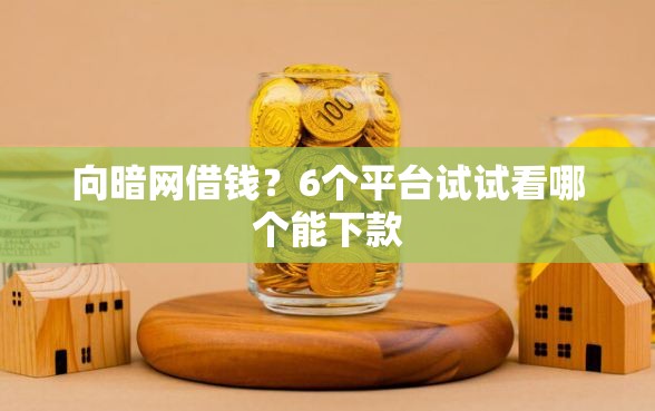 向暗网借钱？6个平台试试看哪个能下款