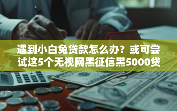 遇到小白兔贷款怎么办？或可尝试这5个无视网黑征信黑5000贷款口子