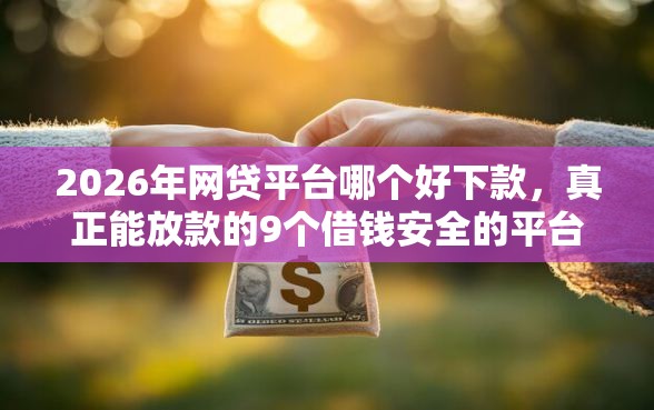 2026年网贷平台哪个好下款，真正能放款的9个借钱安全的平台推荐