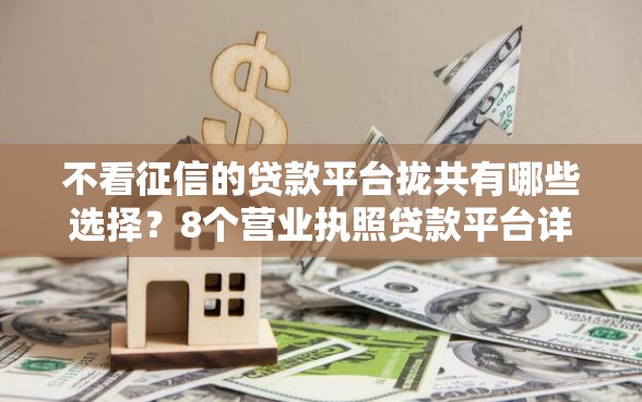 不看征信的贷款平台拢共有哪些选择？8个营业执照贷款平台详解