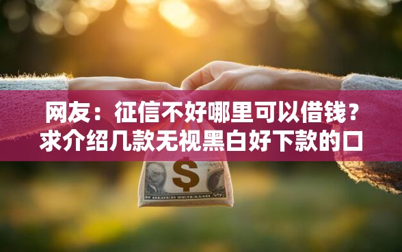 网友：征信不好哪里可以借钱？求介绍几款无视黑白好下款的口子