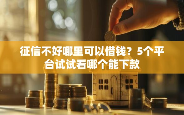 征信不好哪里可以借钱？5个平台试试看哪个能下款
