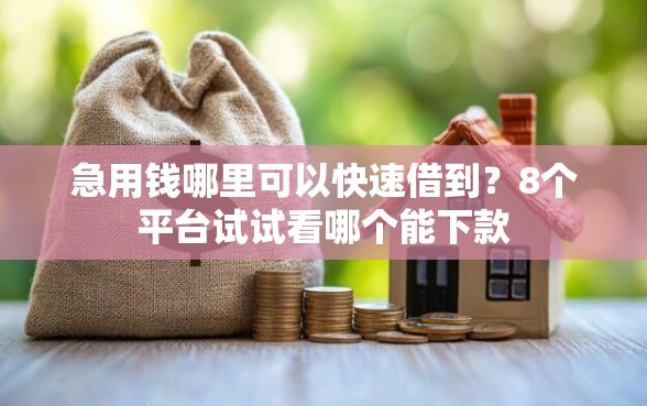急用钱哪里可以快速借到？8个平台试试看哪个能下款