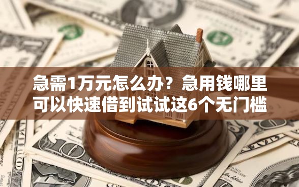 急需1万元怎么办？急用钱哪里可以快速借到试试这6个无门槛平台