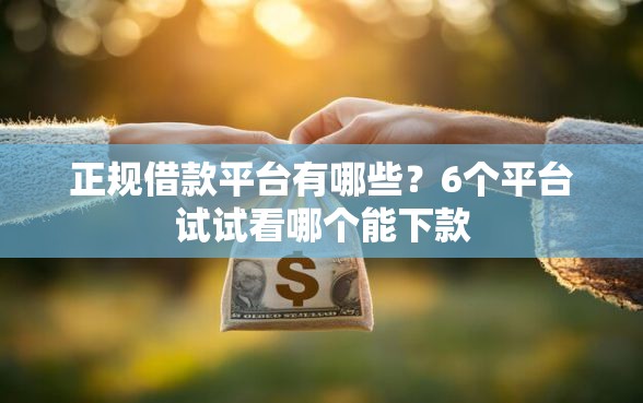 正规借款平台有哪些？6个平台试试看哪个能下款