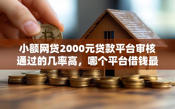 小额网贷2000元贷款平台审核通过的几率高，哪个平台借钱最容易通过的8个平台介绍